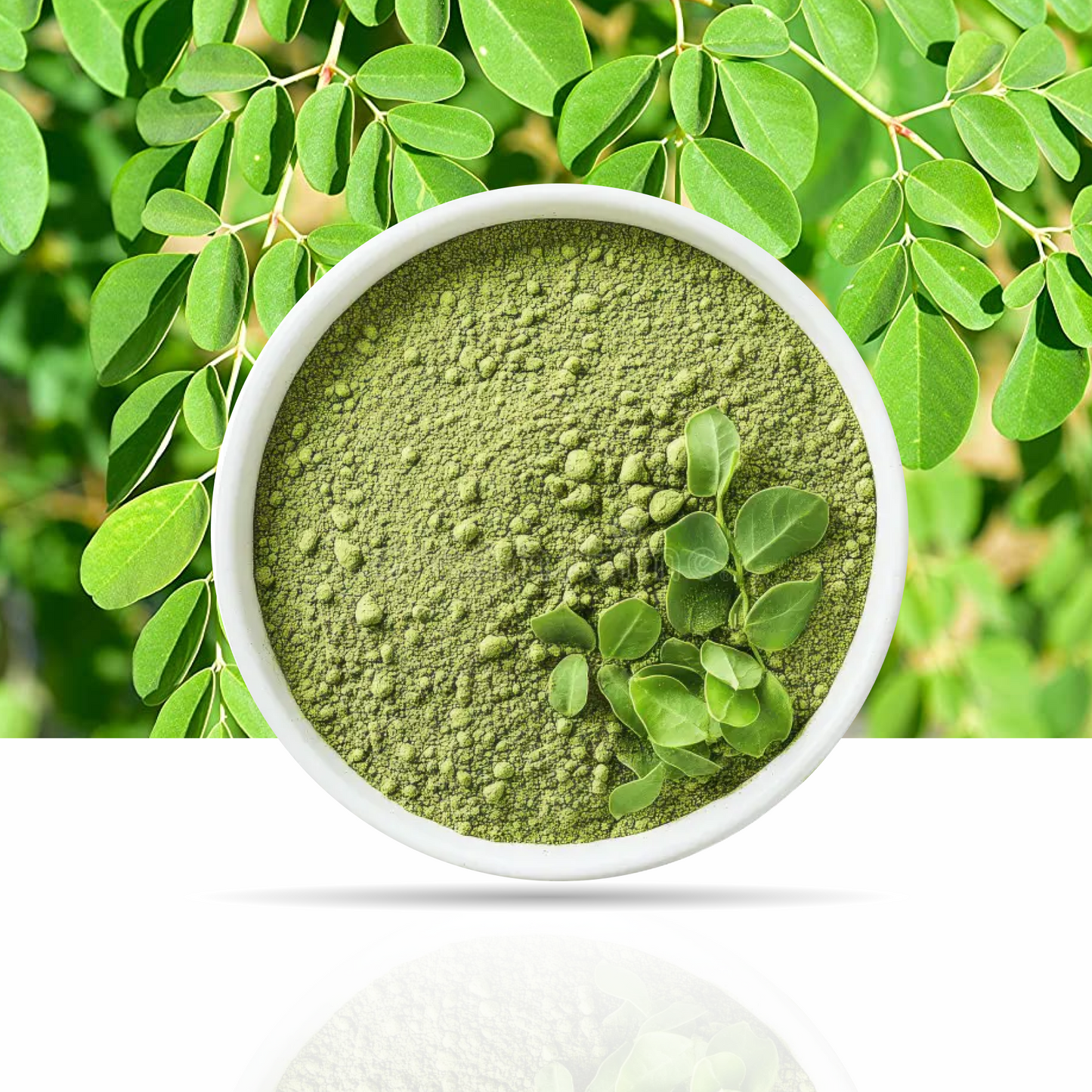 Moringa Powder