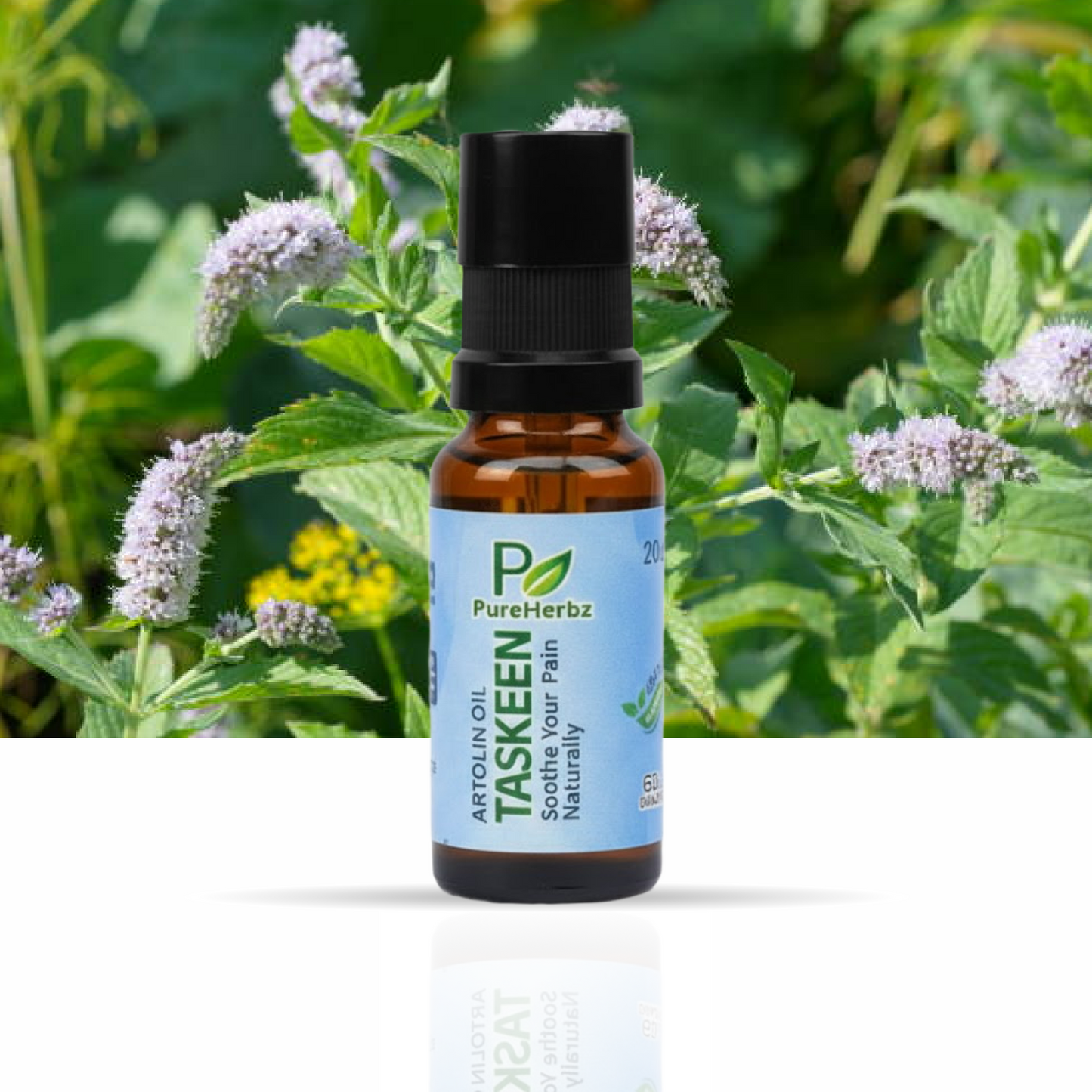 Taskeen Herbal Pain Oil